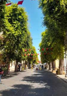 Sant'Antioco House | La casa di Willy