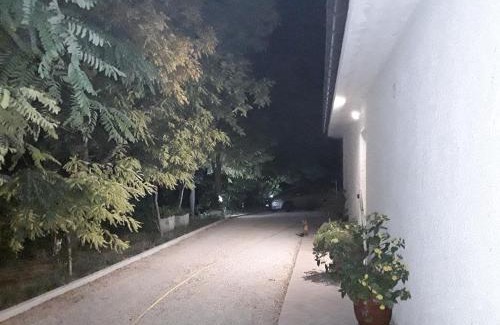 Larino Bed & Breakfast | La Casa nel Verde
