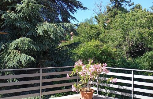 Fiuggi Apartment | La casa tra gli alberi