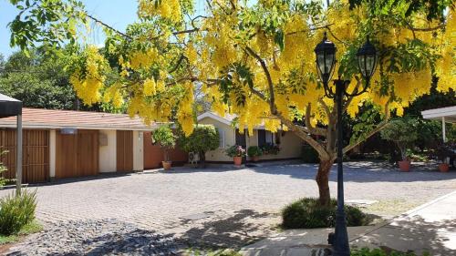 Los Gavilanes Apartment | La Casita de Fraida