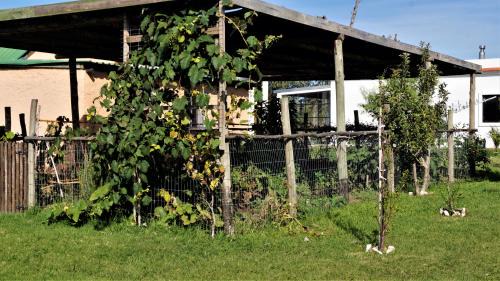 Atlantida House | La Chacra Holandesa
