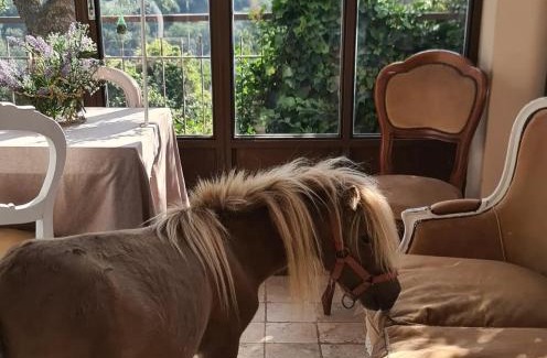 Bardino Vecchio Bed & Breakfast | La Corte Del Gallo Quality BeB