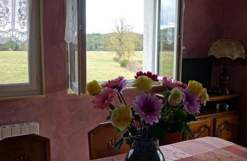 Felines House | La Crova