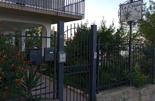 Trabia Bed & Breakfast | La Cycas