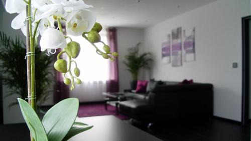 Lotte Apartment | La Domus Superior