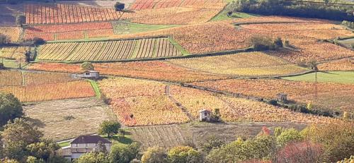 Les Ardillats House | La Ferme Berger