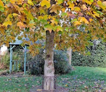 Moulins-sur-Orne Bed & Breakfast | La Gentilhommière de Moulins