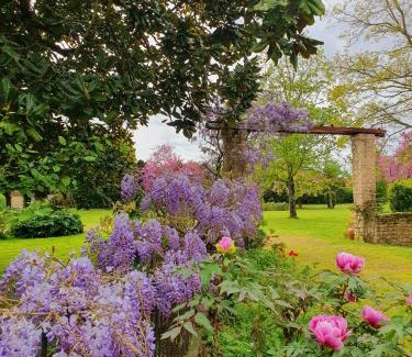 Lucon House | La Glycine
