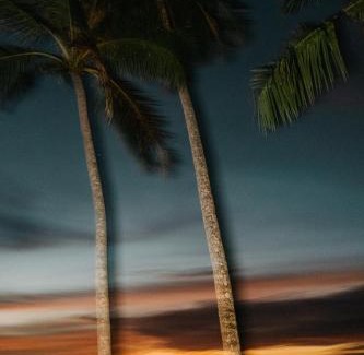 Mentawai Islands Villa | La Isla Mentawai - Private Boutique Villas & Surf Sanctuary