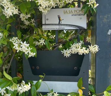 Avezzano Apartment | La La Home