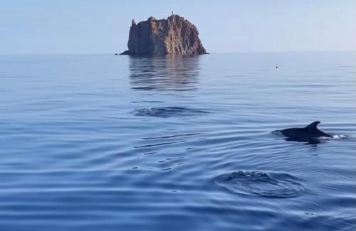 Stromboli Bed & Breakfast | La Lampara