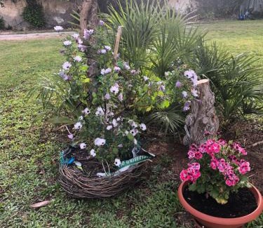 Quartu Sant'Elena Bed & Breakfast | La Lantana Nuova