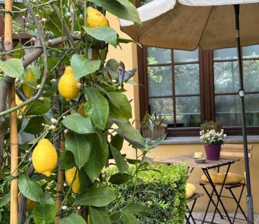 Ricorboli Apartment | La Limonaia Firenze