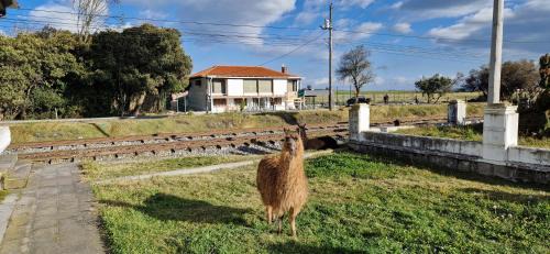 Guano Hotel | La Maison d'Urbina