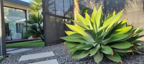 Villaggio Mose Villa | La Maison della Valle