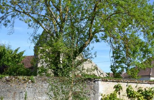 Falaise Bed & Breakfast | La Maison Des Buis