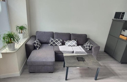Saint-Jean-de-Losne Apartment | La Marion