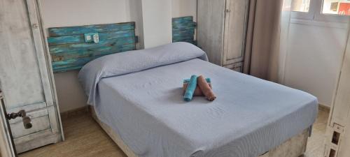 Parque Holandes Apartment | La mariposa