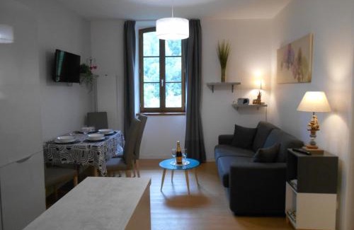 Aulus-les-Bains Apartment | LA MARMOTTE appartement T2 classé 3 étoiles