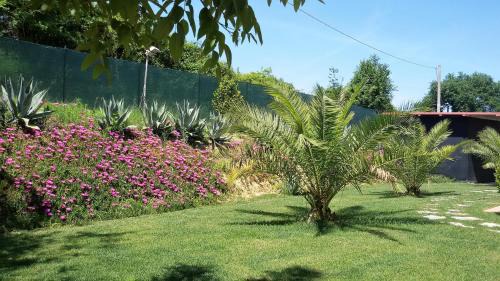Montegranaro Bed & Breakfast | La Mezzina