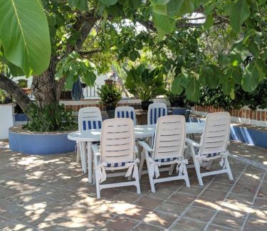 Baena House | La Noguera de Baena