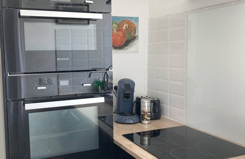 Borderes-sur-l'Echez Apartment | La Pépite : spa et terrasse (6 à 12 personnes)
