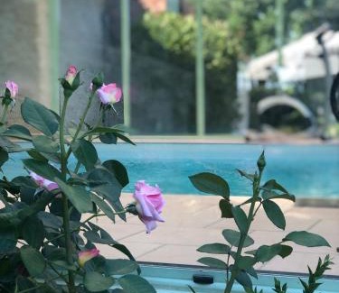 Amne Apartment | La Parenthèse - Studio atypique - Piscine - Proche Le Mans