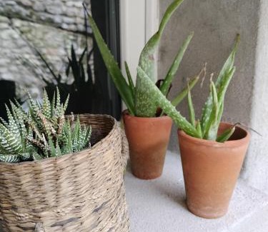 Le Blanc House | La petite maison de poncho