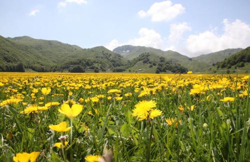 San Massimo Bed & Breakfast | La Pinetina