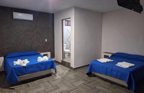 Tecolutla House | la Playita