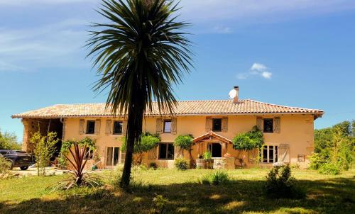 Puycelci House | La Première Vigne