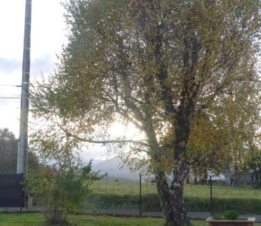 Loucrup House | La Roseraie