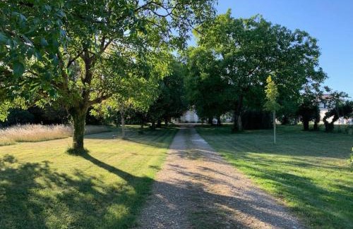 Sainte Gemme Apartment | La Saintonge