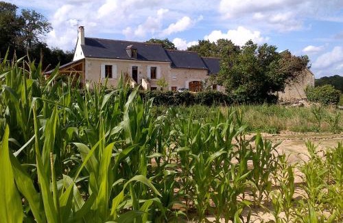Chahaignes Bed & Breakfast | La Tale
