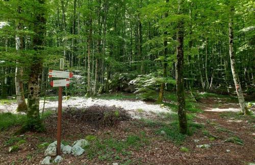 Resia Bed & Breakfast | La Tana in Val Resia