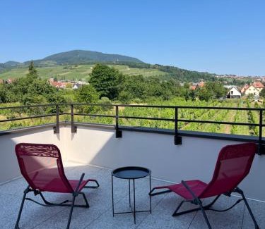 Barr Apartment | La Terrasse du Vignoble - Garage et parking privatifs