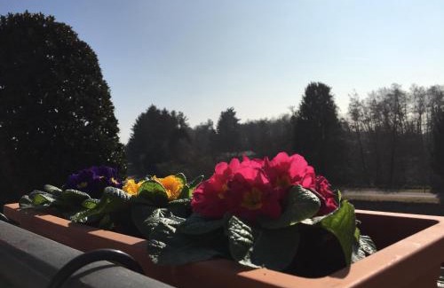 Bernate Ticino Bed & Breakfast | La Terrazza sul Naviglio B&B