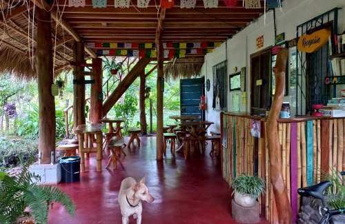 Balgue Hostel | La Urraca Loca Hostel