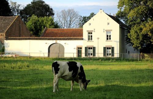 Maastricht Apartment | La Vache Contente