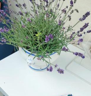 Villanova d'Asti Bed & Breakfast | La valle incantata