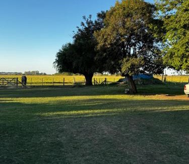 Gowland House | La victoria ranch horse