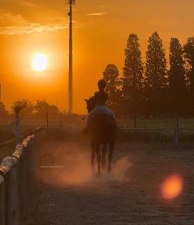 Gowland House | La victoria ranch horse