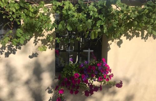 Saint-Jean-de-Rebervilliers Bed & Breakfast | La Vigne