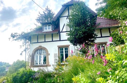 La Petite-Pierre House | LA VILLA DES OISEAUX - La Petite Pierre