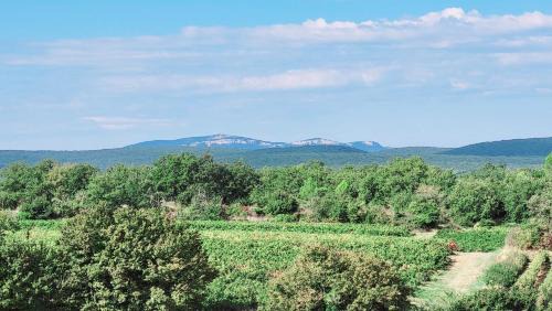 Saint-Andre-d'Olerargues House | La Villa Ganesh : maison de campagne dans le Gard !