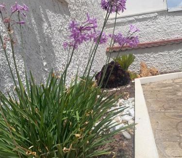 Torvaianica House | La Villetta