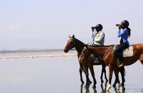 Lake Elementaita Other | Lake Elmenteita Serena Camp