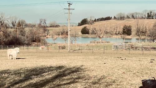 Cameley Apartment | Lake House - beautiful countryside retreat