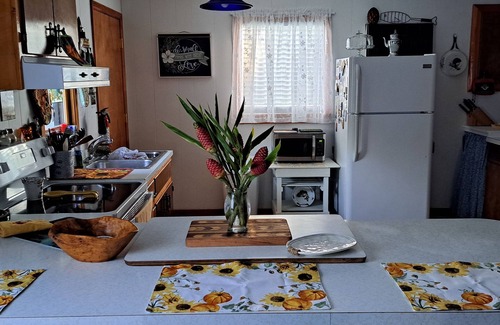 Donalsonville House | Lake Seminole Cottage 1 mile away, ramps & Big Jims.