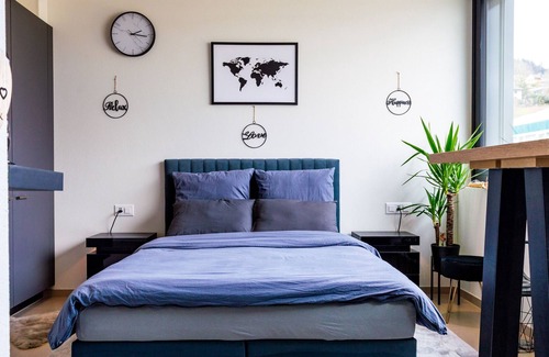 Beinwil am See Apartment | Lake View Cozy Studio Apartment